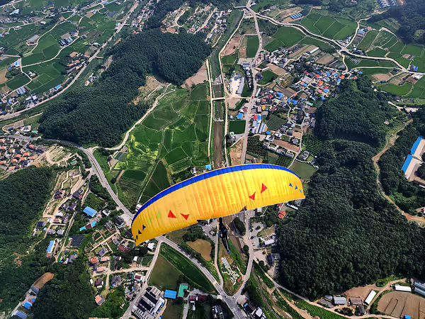 MAMBO - Two Liner ENC - Image 3